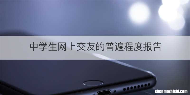 中学生网上交友的普遍程度报告