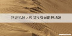 扫地机器人夜间没有光能扫地吗