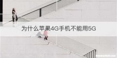 为什么苹果4G手机不能用5G