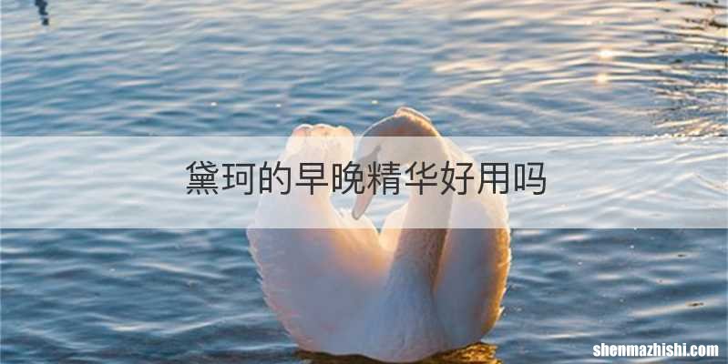 黛珂的早晚精华好用吗