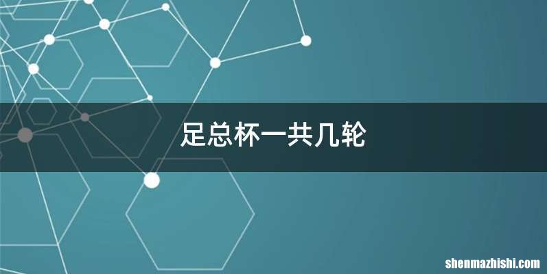 足总杯一共几轮