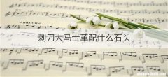 刺刀大马士革配什么石头