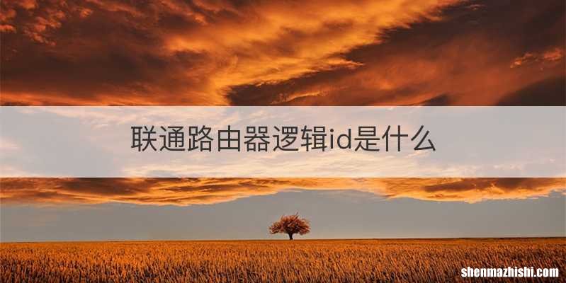 联通路由器逻辑id是什么