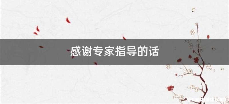 感谢专家指导的话