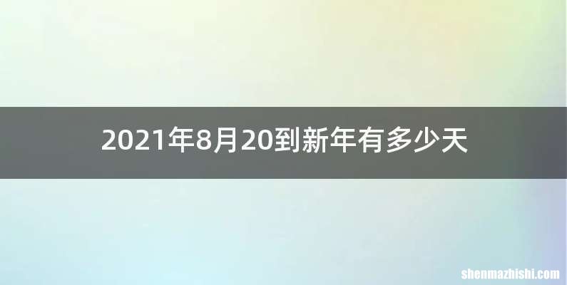 2021年8月20到新年有多少天