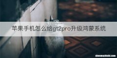 苹果手机怎么给gt2pro升级鸿蒙系统