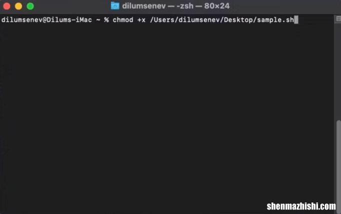 如何修复Zsh:Mac终端中的权限被拒绝