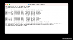 如何修复Zsh：Mac终端中的权限被拒绝