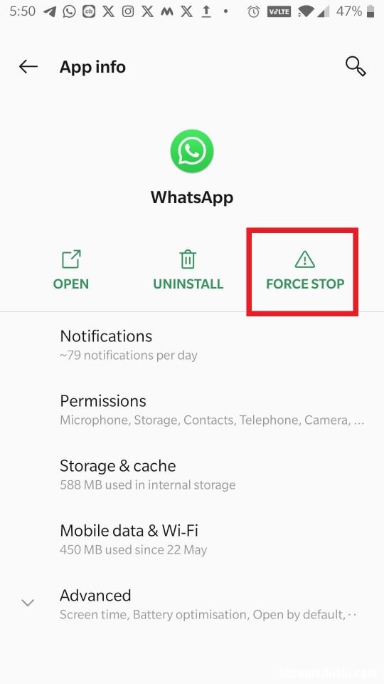 如何修复WhatsApp视频消息不起作用?