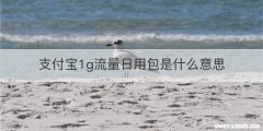 支付宝1g流量日用包是什么意思