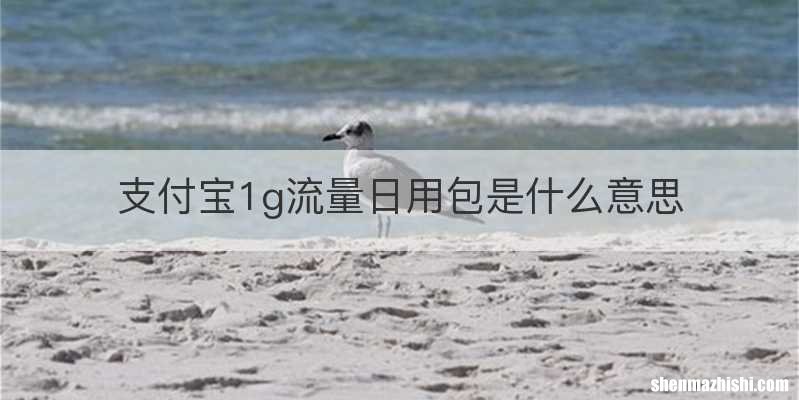 支付宝1g流量日用包是什么意思