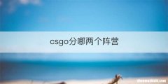 csgo分哪两个阵营