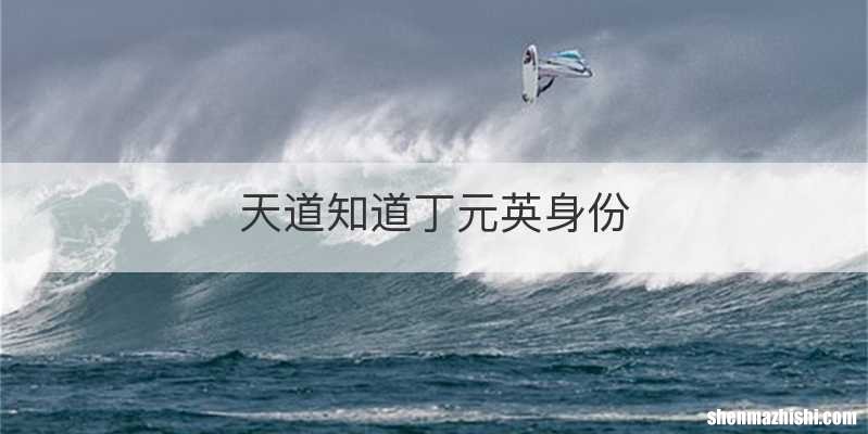 天道知道丁元英身份