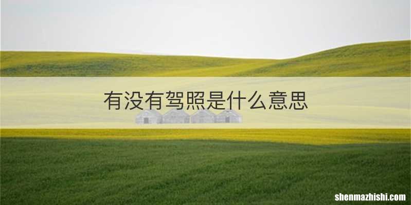 有没有驾照是什么意思