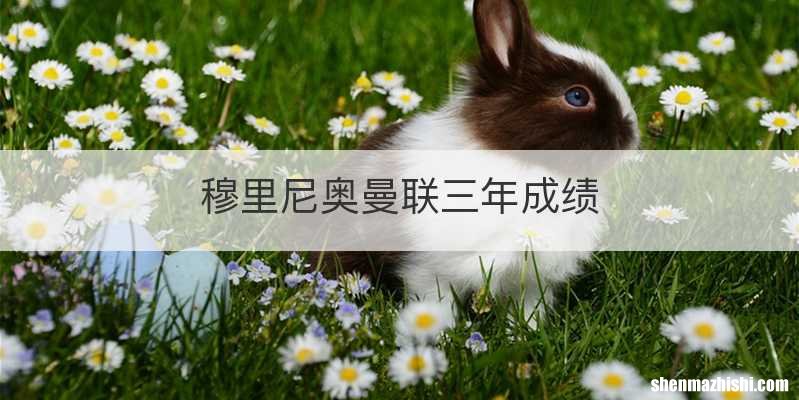 穆里尼奥曼联三年成绩