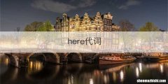 here代词