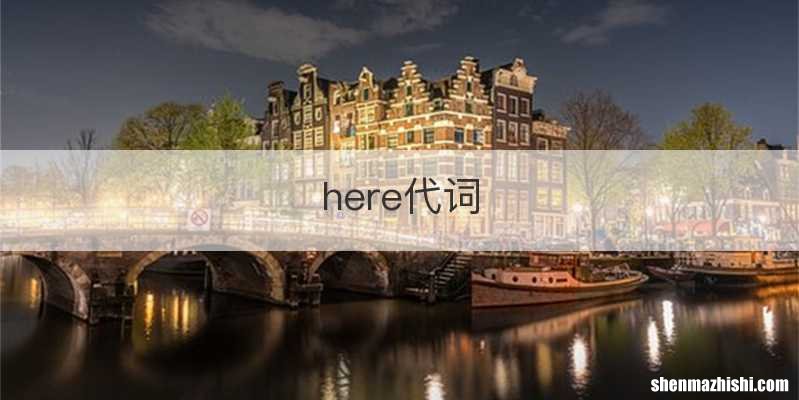 here代词