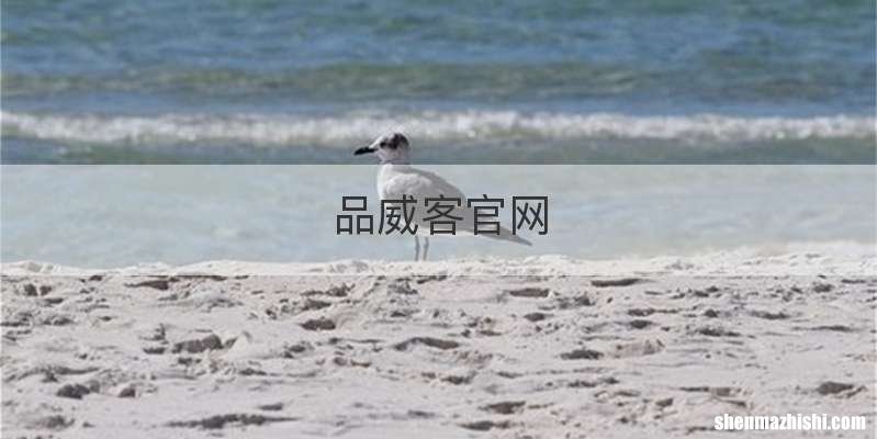 品威客官网
