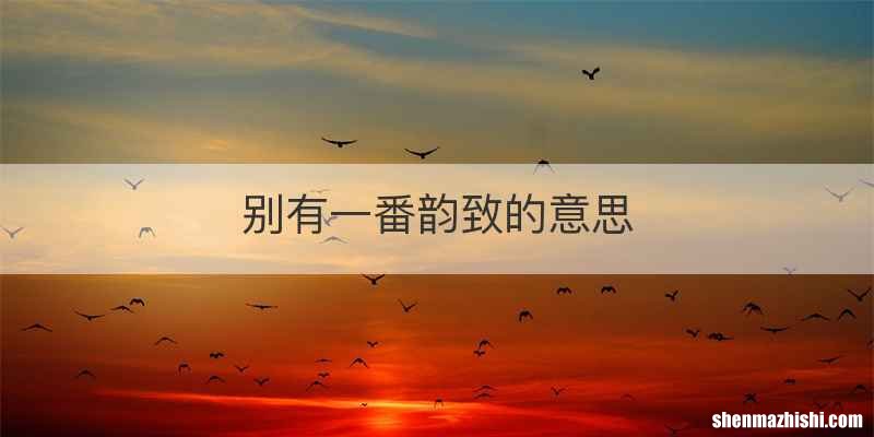 别有一番韵致的意思