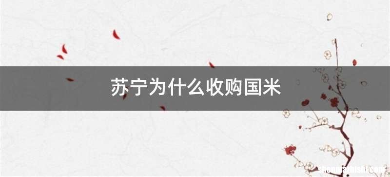 苏宁为什么收购国米