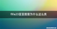 fifa23亚亚图雷为什么这么贵