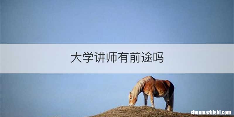 大学讲师有前途吗