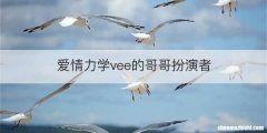 爱情力学vee的哥哥扮演者