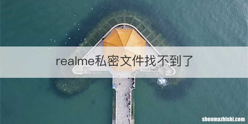 realme私密文件找不到了