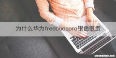 为什么华为freebudspro银色很贵
