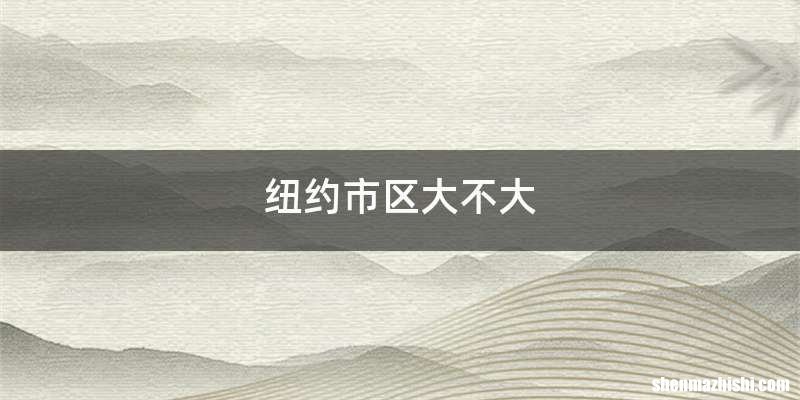 纽约市区大不大