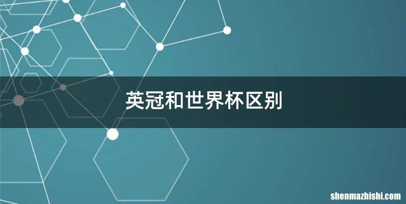 英冠和世界杯区别