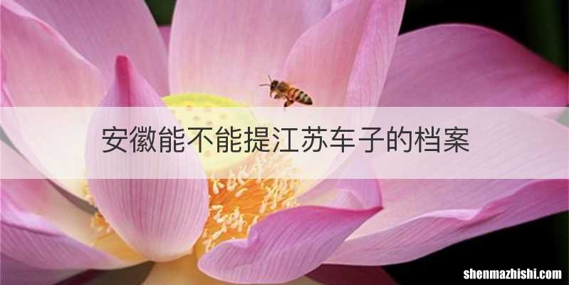 安徽能不能提江苏车子的档案