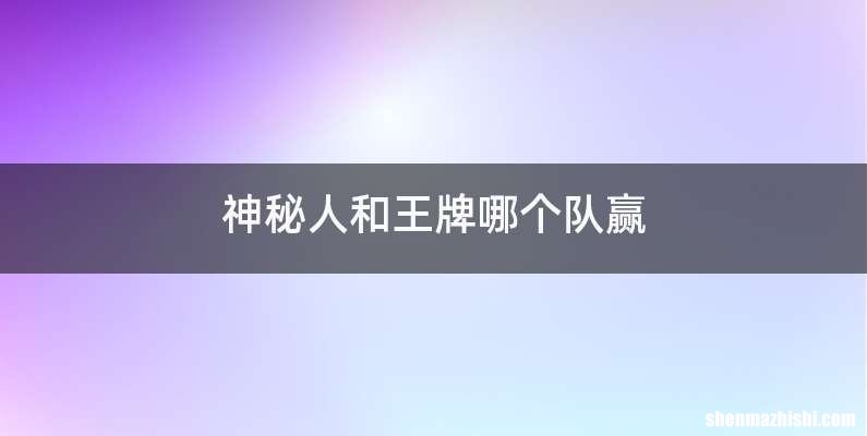 神秘人和王牌哪个队赢