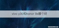 vivo y30和honor 9x哪个好