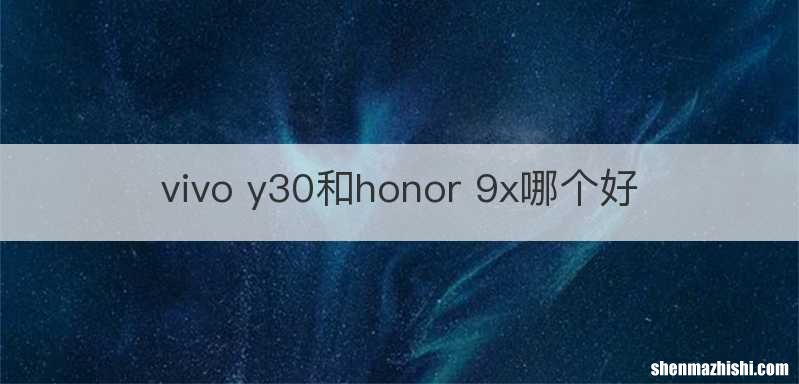 vivo y30和honor 9x哪个好