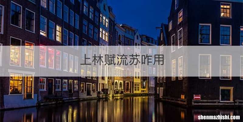 上林赋流苏咋用