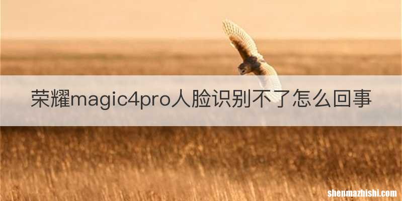 荣耀magic4pro人脸识别不了怎么回事
