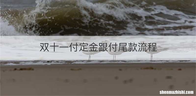 双十一付定金跟付尾款流程