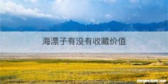 海漂子有没有收藏价值