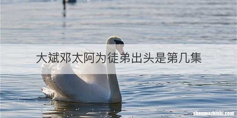 大斌邓太阿为徒弟出头是第几集