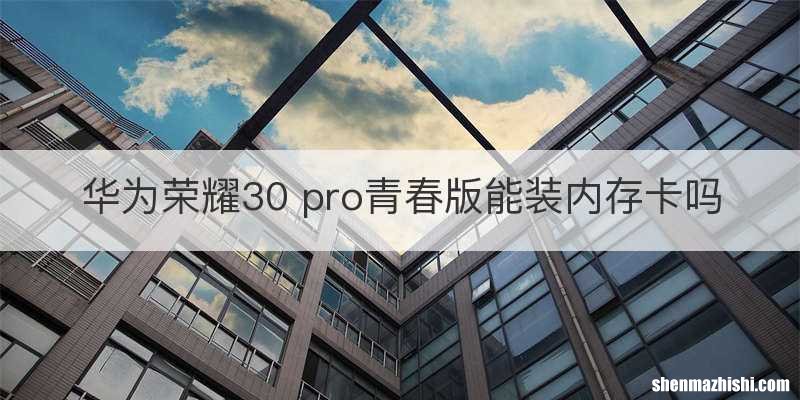 华为荣耀30 pro青春版能装内存卡吗