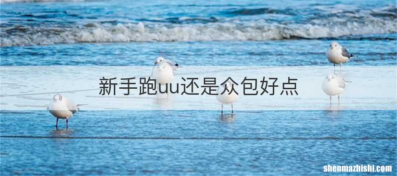 新手跑uu还是众包好点