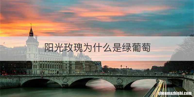 阳光玫瑰为什么是绿葡萄