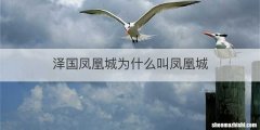 泽国凤凰城为什么叫凤凰城