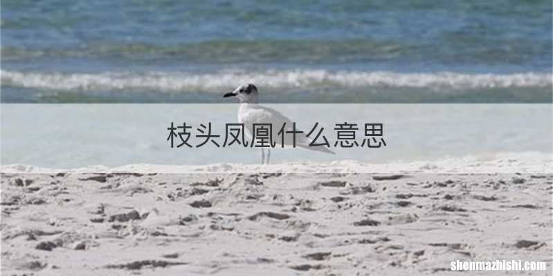 枝头凤凰什么意思