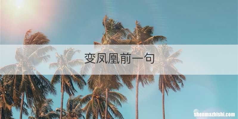 变凤凰前一句