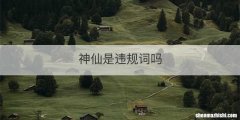 神仙是违规词吗