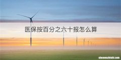 医保按百分之六十报怎么算
