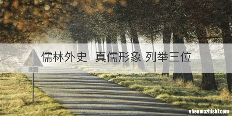 儒林外史真儒形象 列举三位