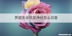 男朋友说你发神经怎么回复
